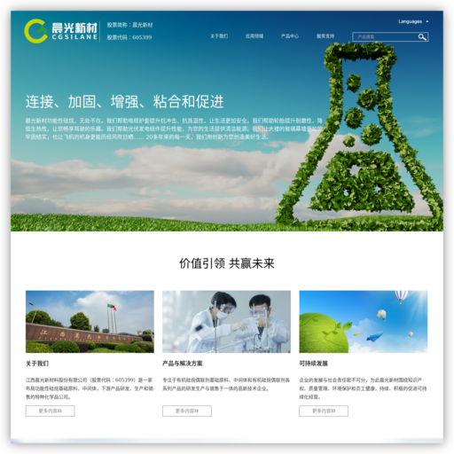 江西晨光新材料股份有限公司