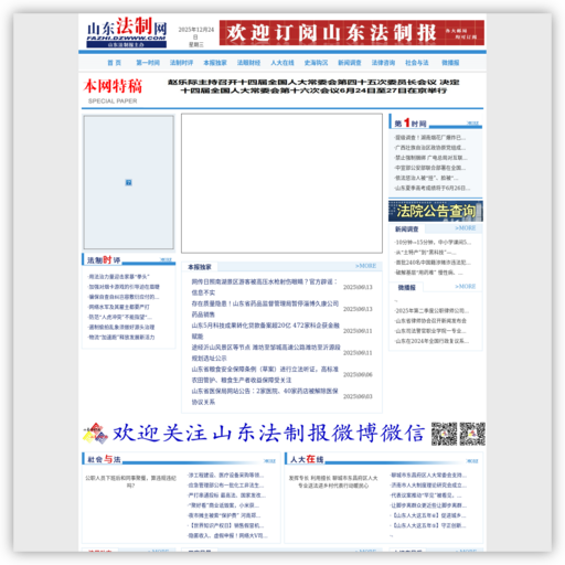 山东法制网 - 网站图标