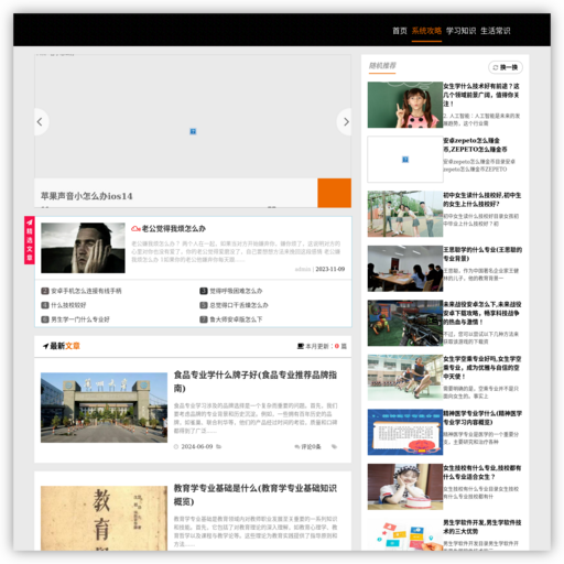 2024年IT培训机构哪家好