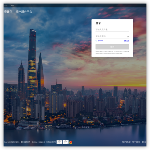 平安付科技服务有限公司