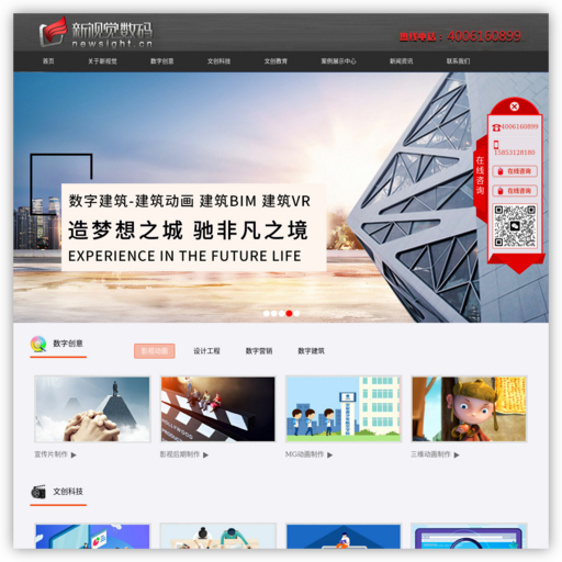 山东新视觉数码科技有限公司