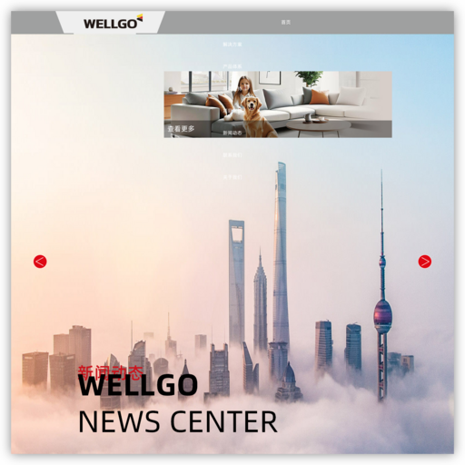 上海威固聚氨酯泡沫填缝剂